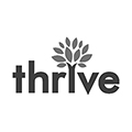 Thrive Internet Marketing/Toledo.com